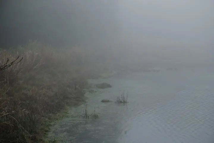 Image failed to load