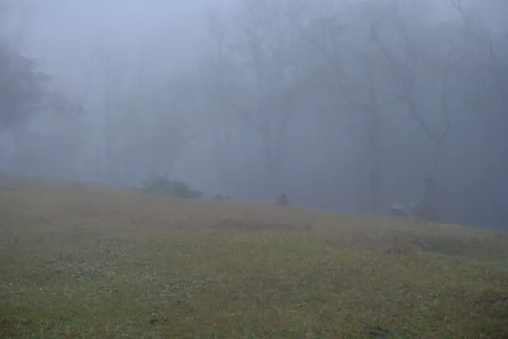 Image failed to load