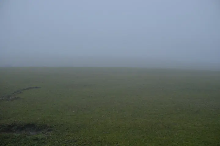 Image failed to load