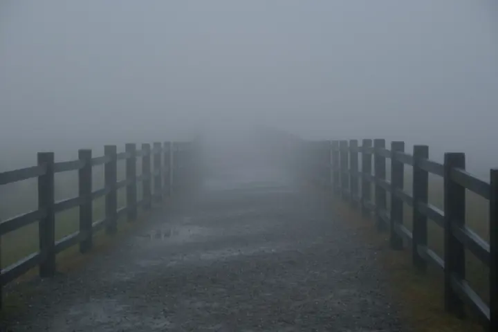 Image failed to load