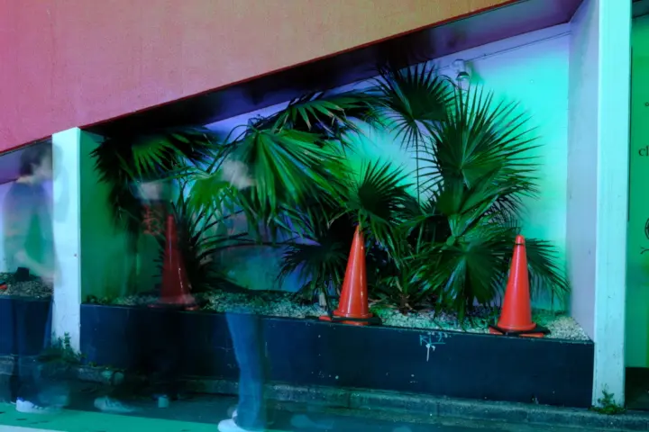 Image failed to load