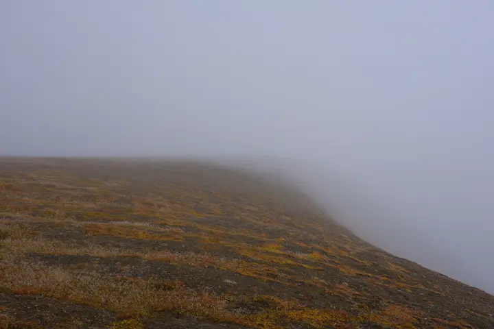 Image failed to load