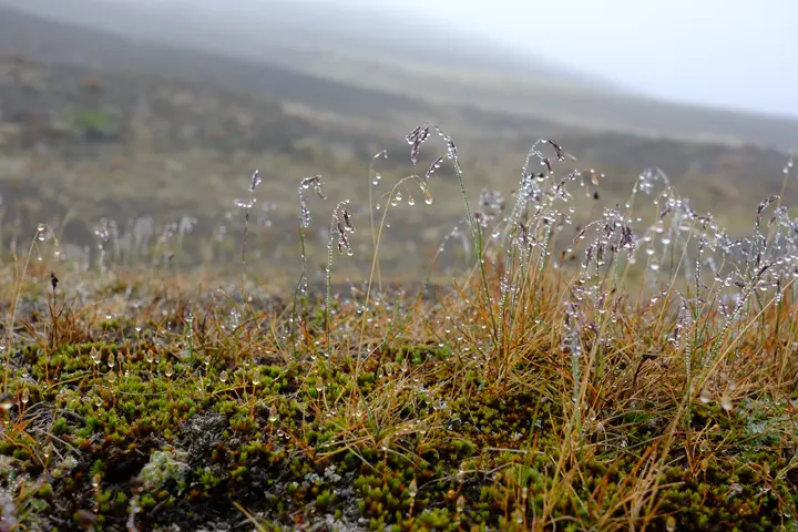 Image failed to load