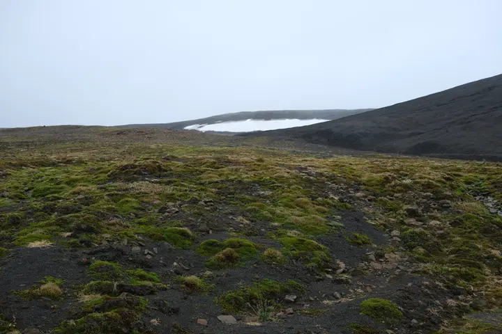 Image failed to load