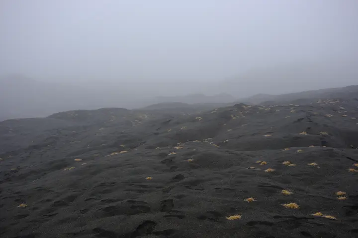 Image failed to load