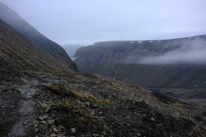 Image failed to load