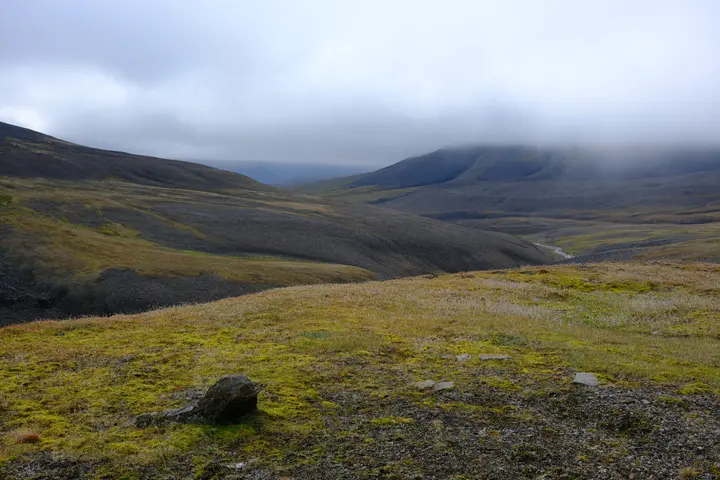 Image failed to load