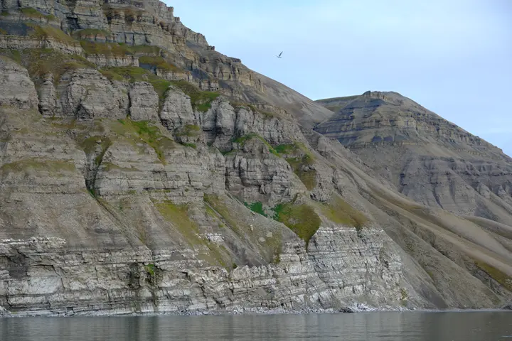 Image failed to load