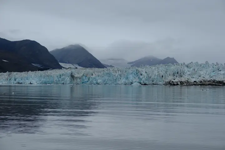 Image failed to load