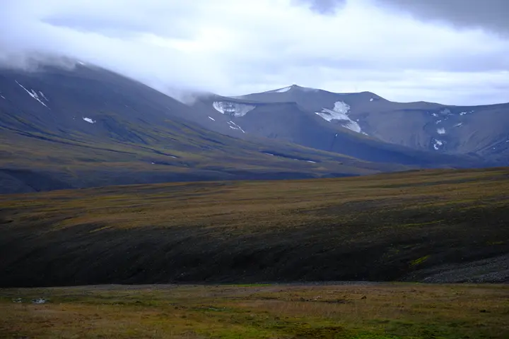 Image failed to load