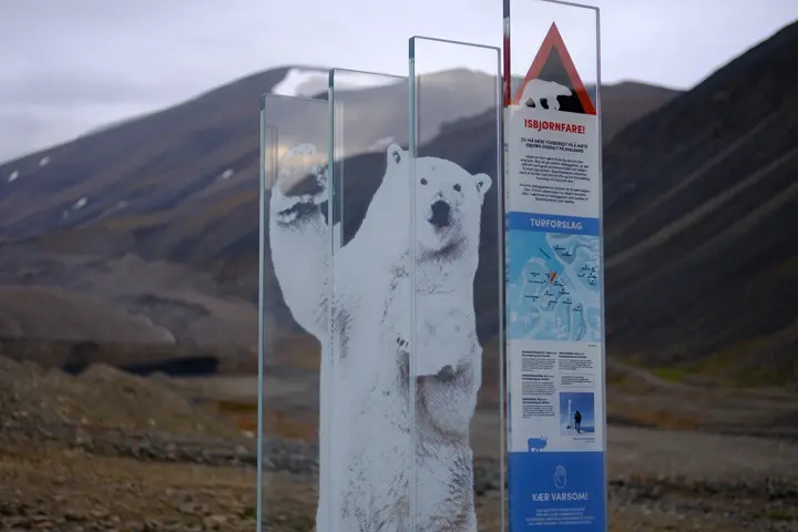 Image failed to load