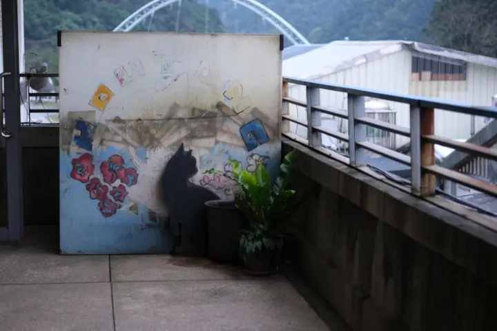 Image failed to load