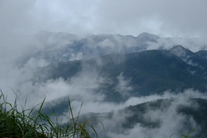 Image failed to load