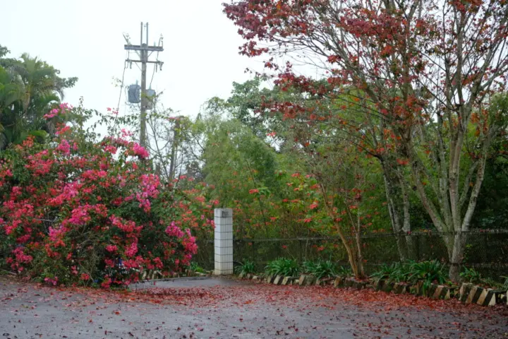 Image failed to load