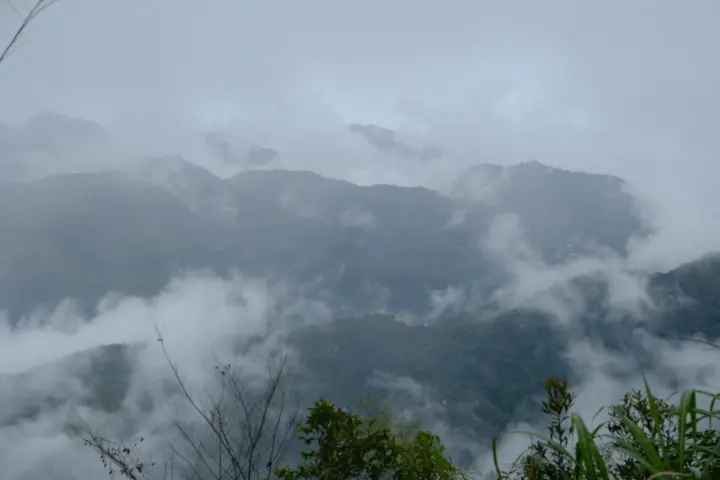 Image failed to load