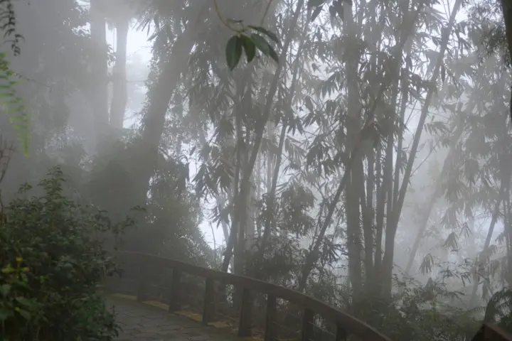 Image failed to load