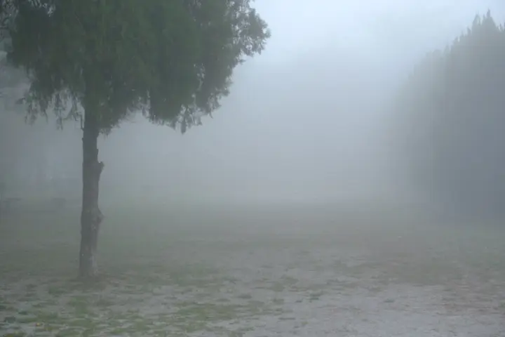 Image failed to load