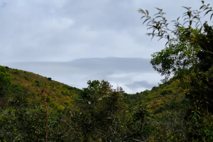 Image failed to load