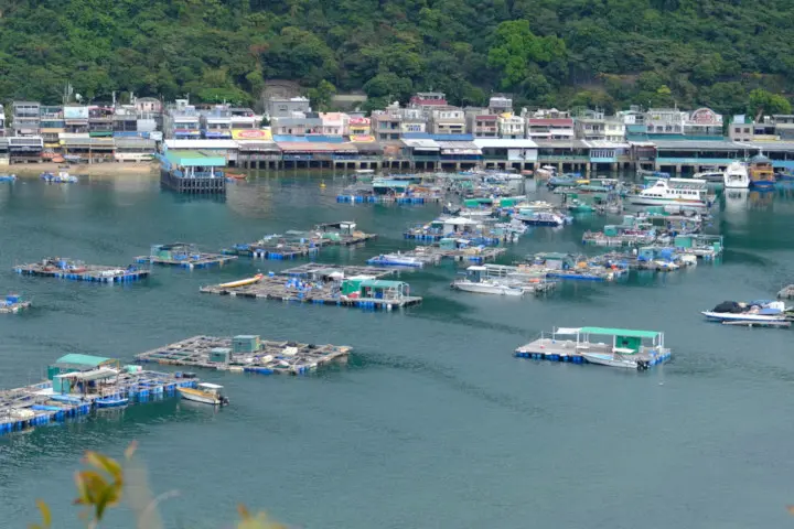 Image failed to load