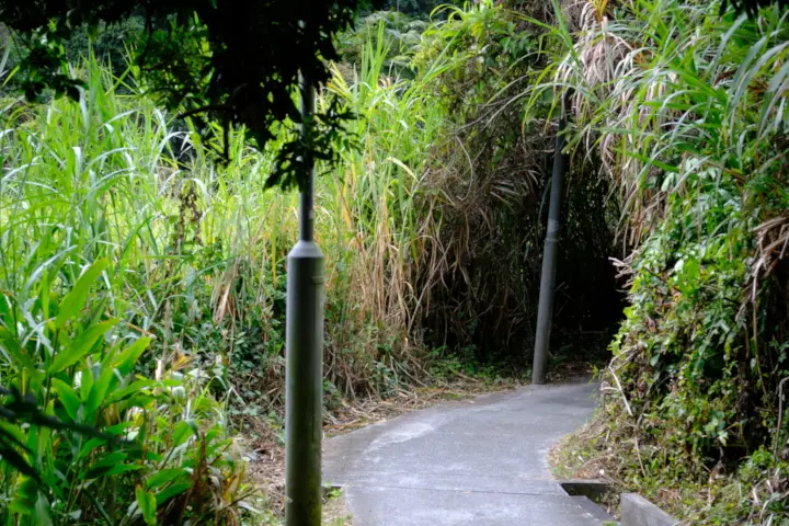 Image failed to load