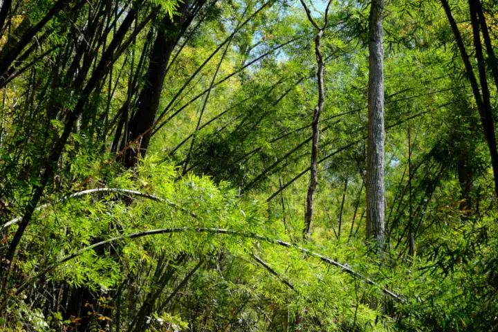 Image failed to load