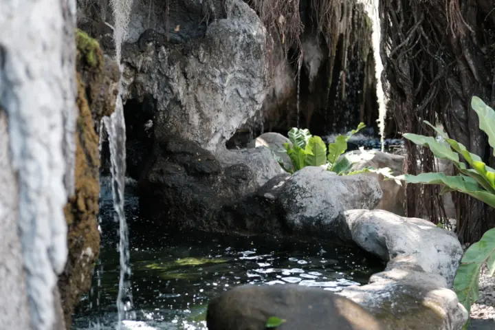 Image failed to load