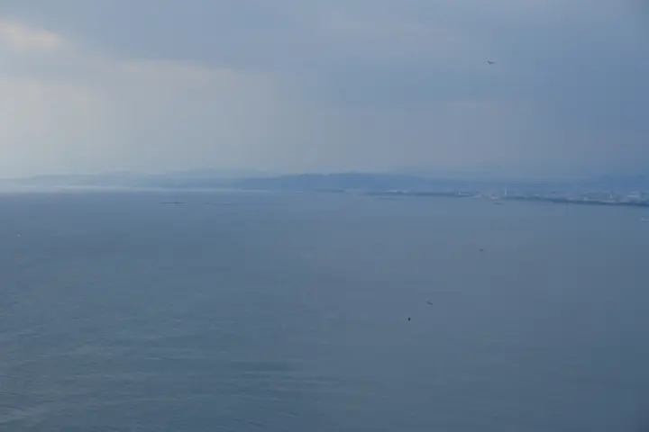 Image failed to load