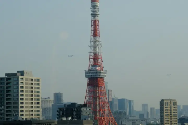 Image failed to load