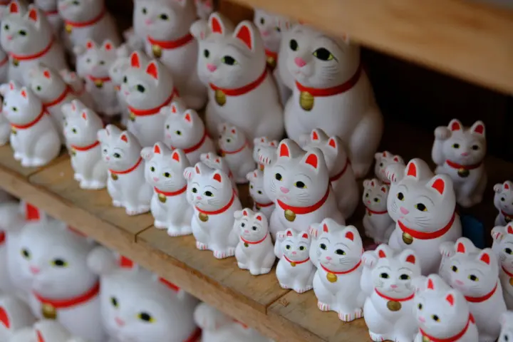 Image failed to load