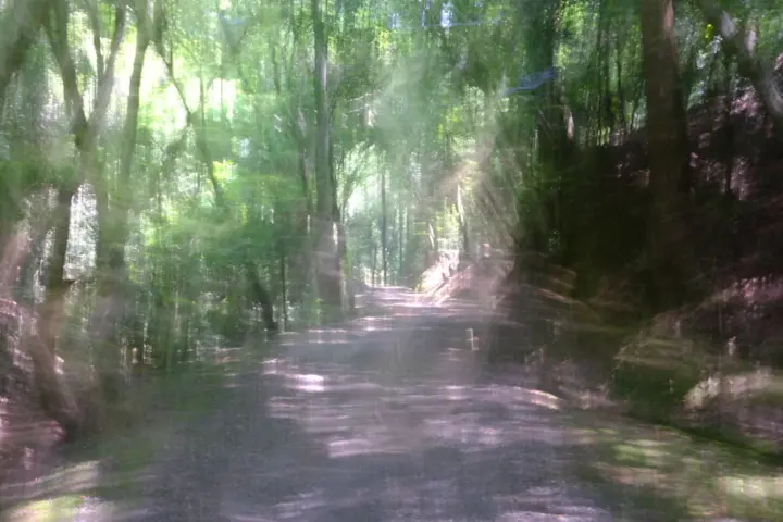 Image failed to load