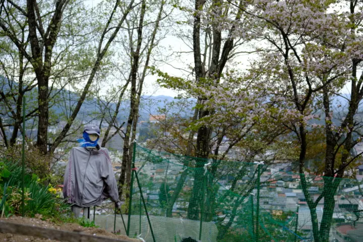 Image failed to load