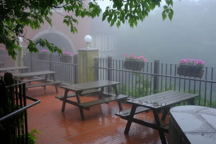 Image failed to load