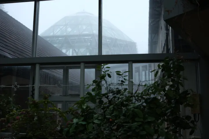 Image failed to load