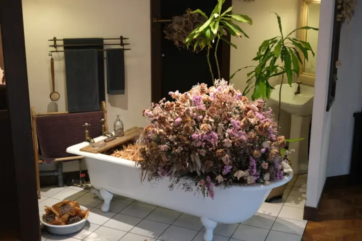 Image failed to load