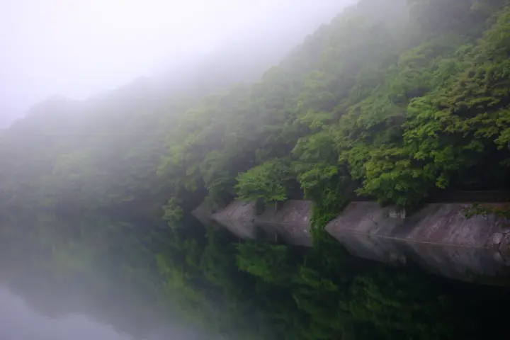 Image failed to load