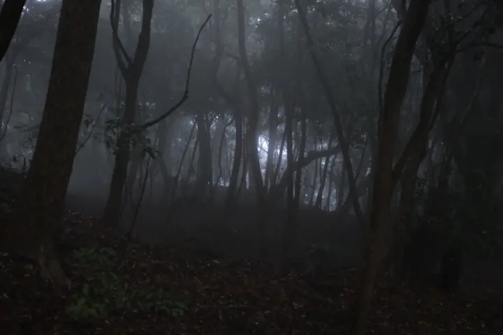 Image failed to load