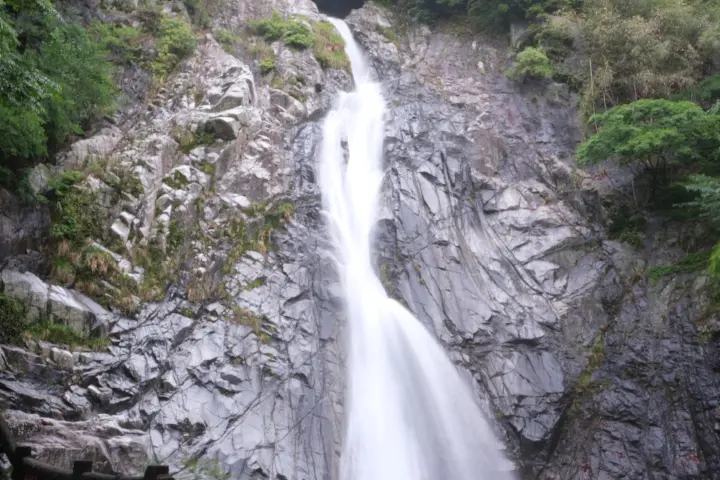 Image failed to load