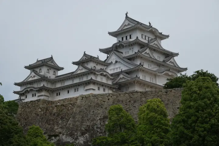 Image failed to load