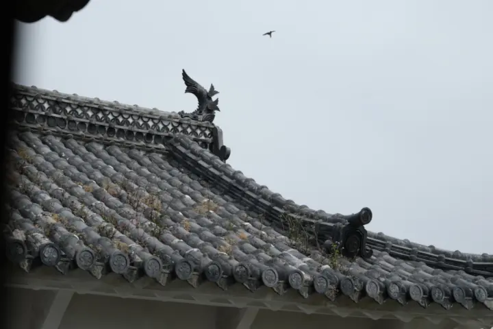 Image failed to load