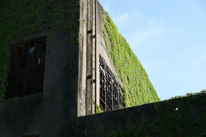 Image failed to load